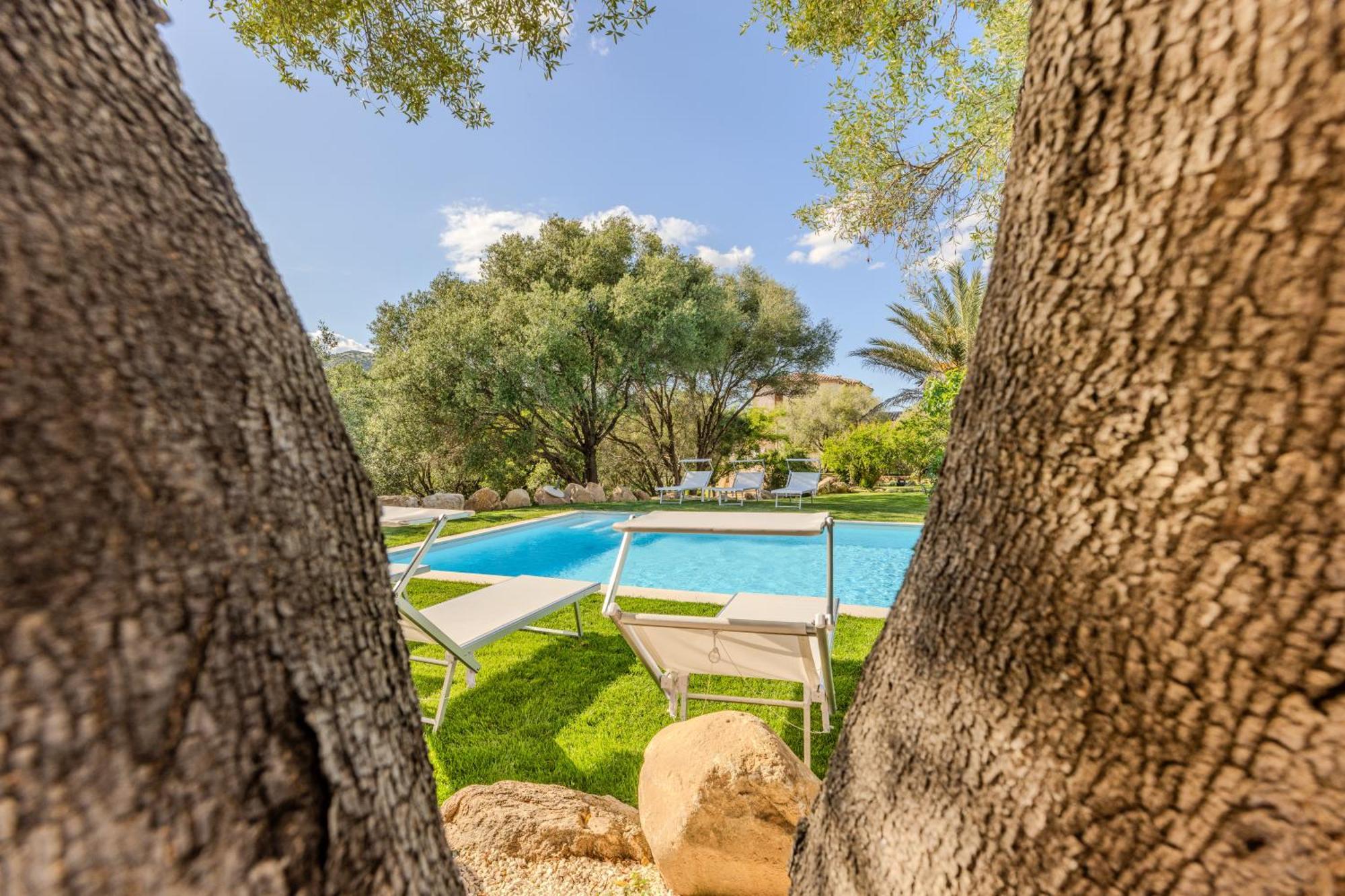 Stazzo San Teodoro L'Olivastro Piscina Condivisa Διαμέρισμα Εξωτερικό φωτογραφία